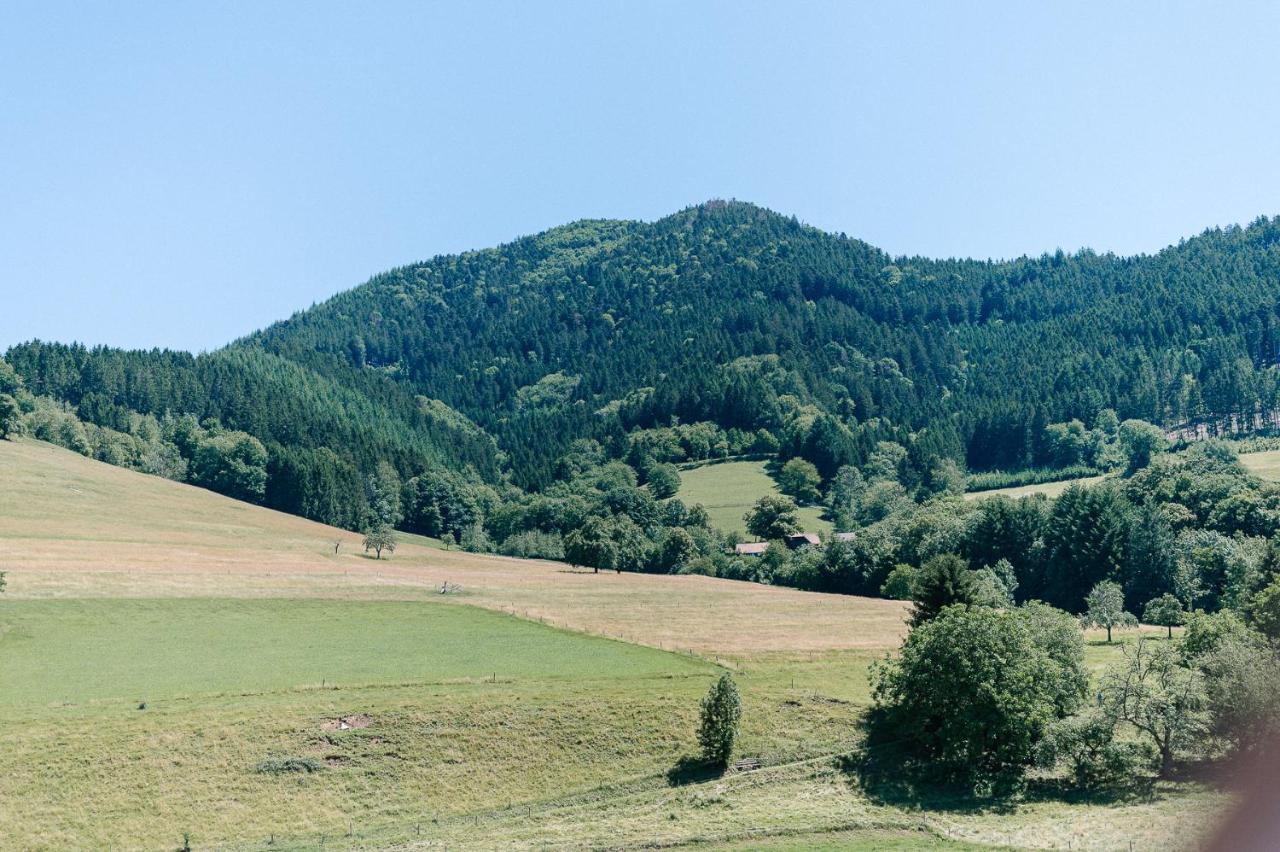 Moderne 2 Zi.-Fewo Blackforestart Naehe Freiburg Simonswald Zewnętrze zdjęcie